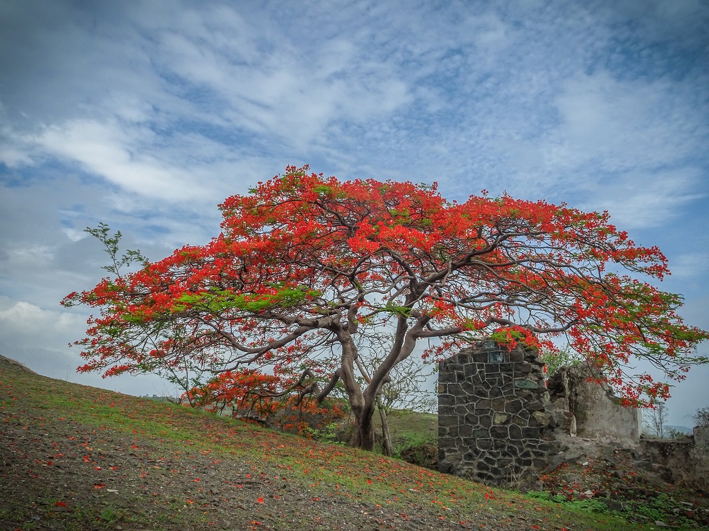 What can we learn from Nature?