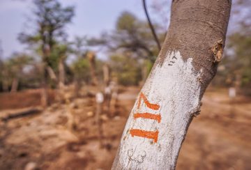 0402-2019-0146379543120067339063-01