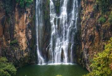 IMG_20191102_112544_237.jpg IMG_20191102_112544_237.jpg