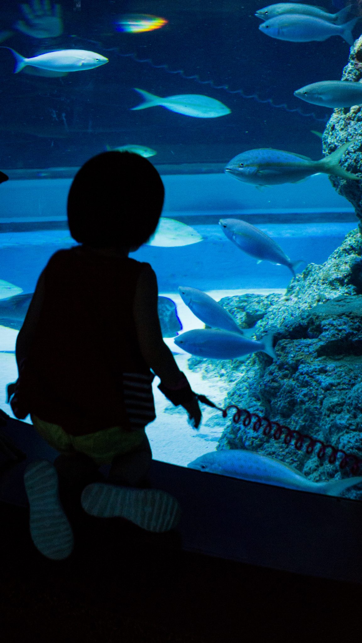 children in aquarium